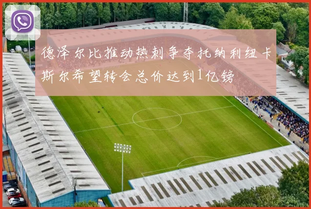 德泽尔比推动热刺争夺托纳利纽卡斯尔希望转会总价达到1亿镑